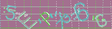 確認代碼