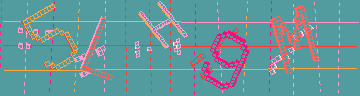 確認代碼