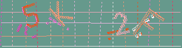 確認代碼