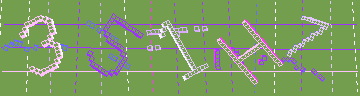 確認代碼