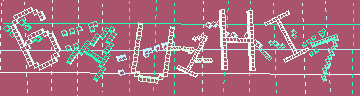 確認代碼