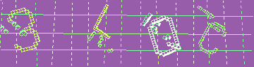 確認代碼