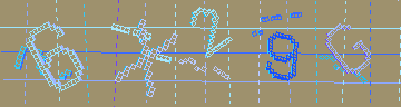 確認代碼