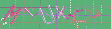 確認代碼