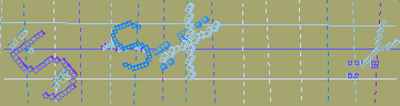 確認代碼