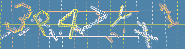 確認代碼