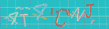 確認代碼