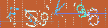 確認代碼