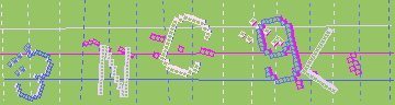 確認代碼