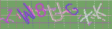確認代碼