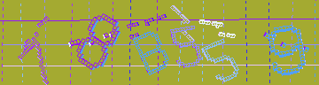 確認代碼