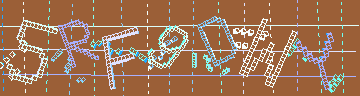 確認代碼