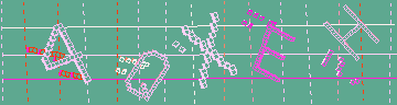 確認代碼