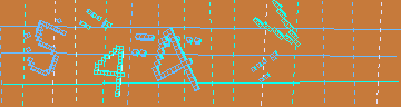 確認代碼