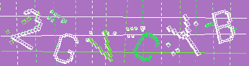 確認代碼