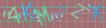 確認代碼