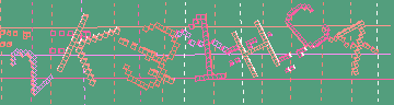 確認代碼