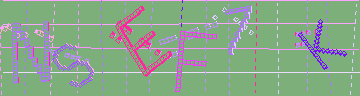 確認代碼