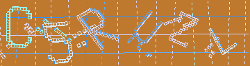 確認代碼