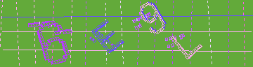確認代碼