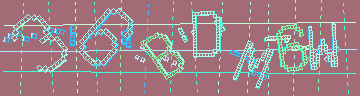 確認代碼