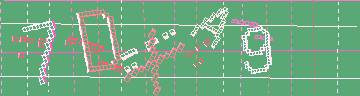 確認代碼