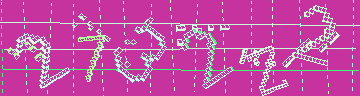 確認代碼
