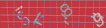 確認代碼
