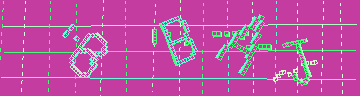 確認代碼