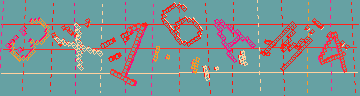確認代碼