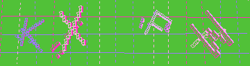 確認代碼