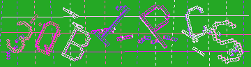 確認代碼