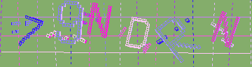 確認代碼