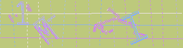 確認代碼