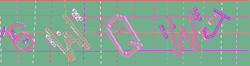 確認代碼