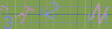 確認代碼