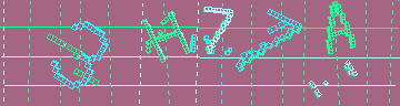 確認代碼