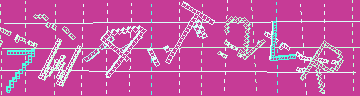 確認代碼