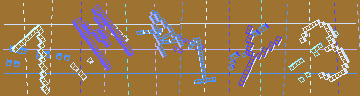 確認代碼