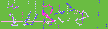 確認代碼