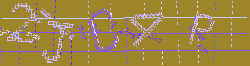 確認代碼