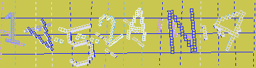 確認代碼