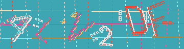 確認代碼