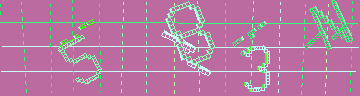 確認代碼