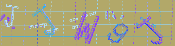 確認代碼