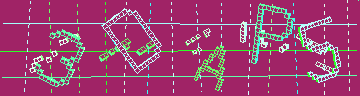 確認代碼