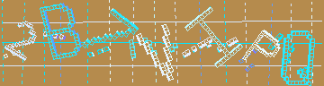 確認代碼