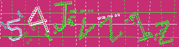 確認代碼