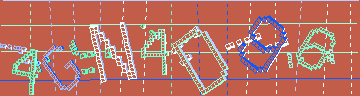 確認代碼