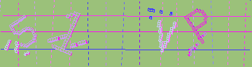 確認代碼